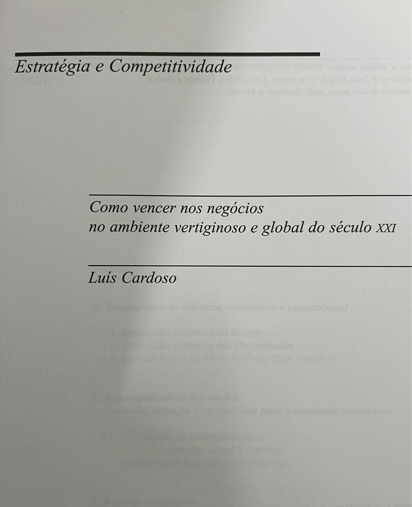 Estratégia e Competitividade - Como vencer nos negócios no século XXI