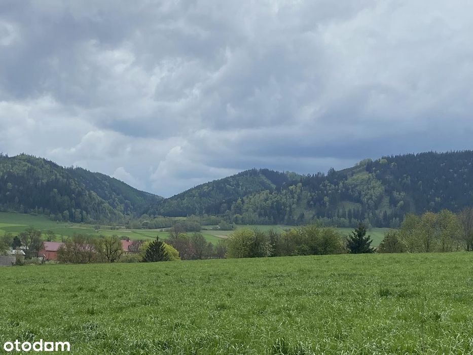 Lubawka -zabudowa wielorodzinna ,pensjonat ,plan zagospodarowania