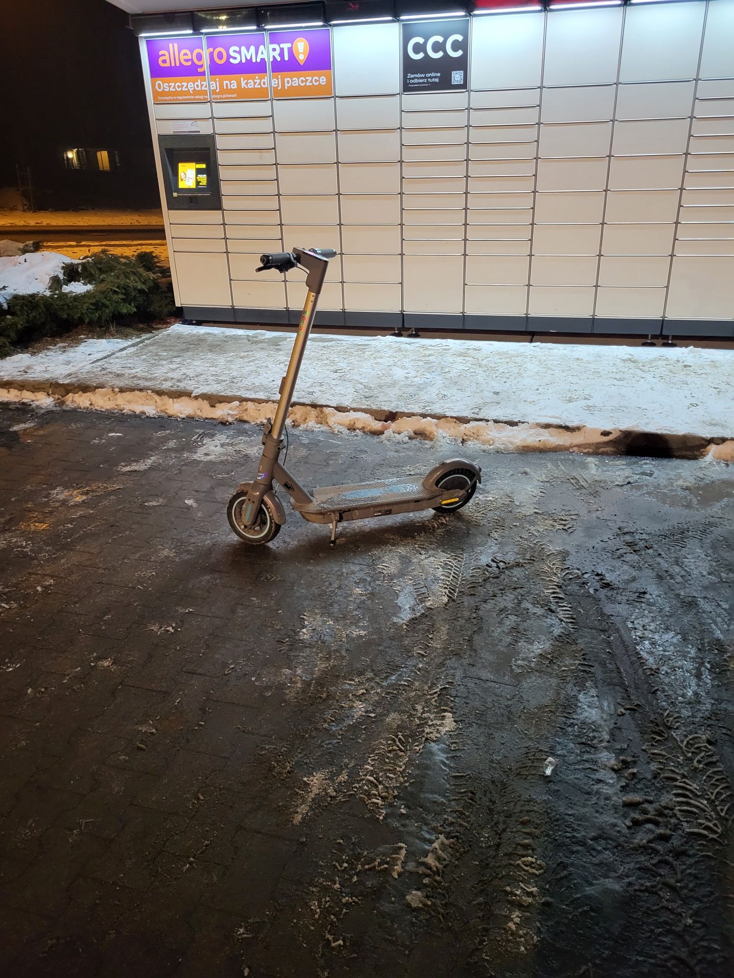 Motus Scotty 10 2022r