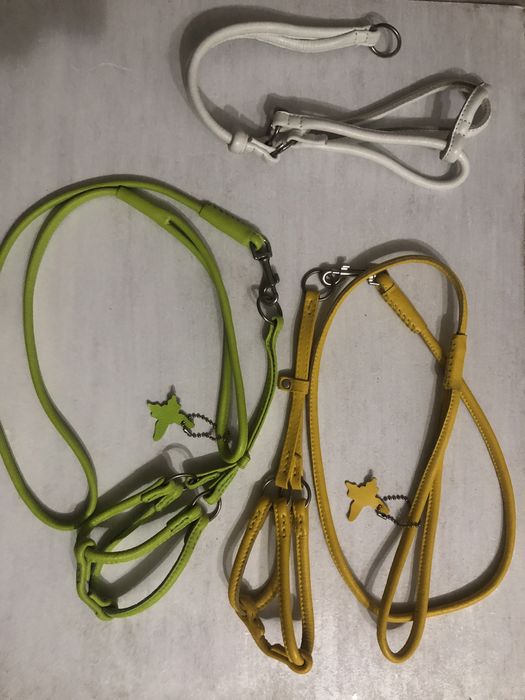 Шлейки для собак  COLLAR