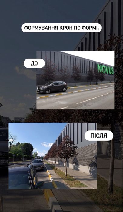 Безопасный спил, удаление, кронировка, чистка деревьев, участка, крыши