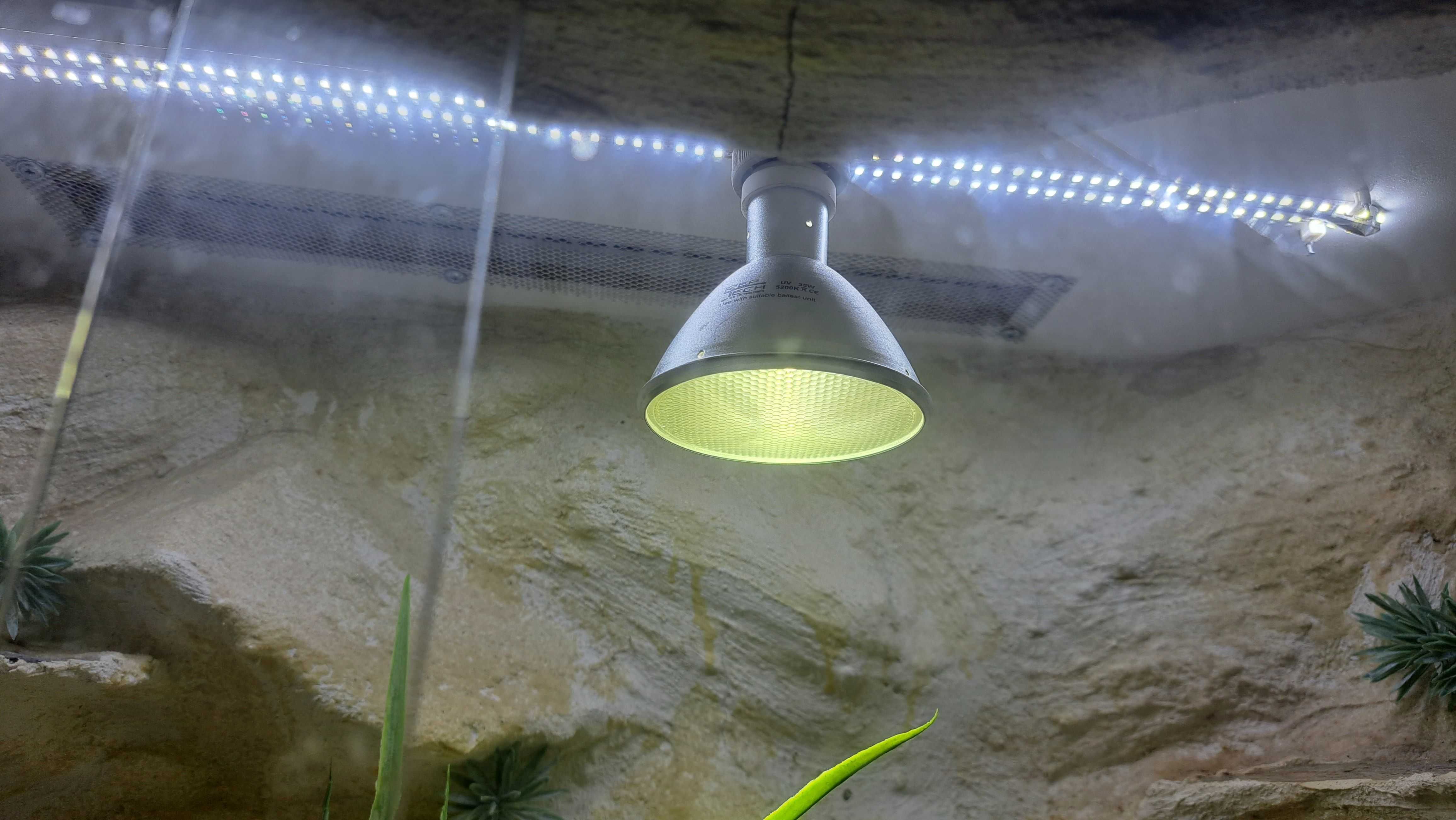 terrarium z tłem 3D – idealne dla agamy, gekona, węża i innych gadów