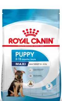 10kg Royal Canin Maxi Puppy, 10 opakowań po 1kg