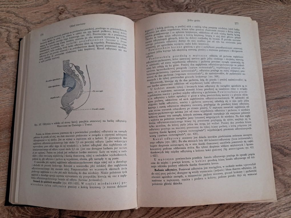 Anatomia człowieka - Adam Bochenek