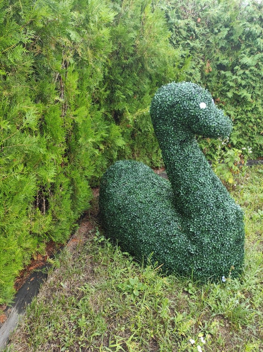 Kaczka Łabędź Topiar Topiary na stelażu z Bukszpanu