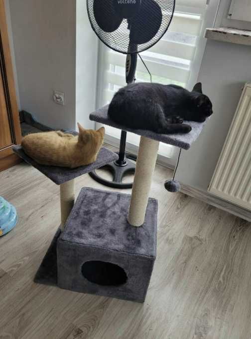 Drapak szary słupek do drapania domek drzewko legowisko dla kota