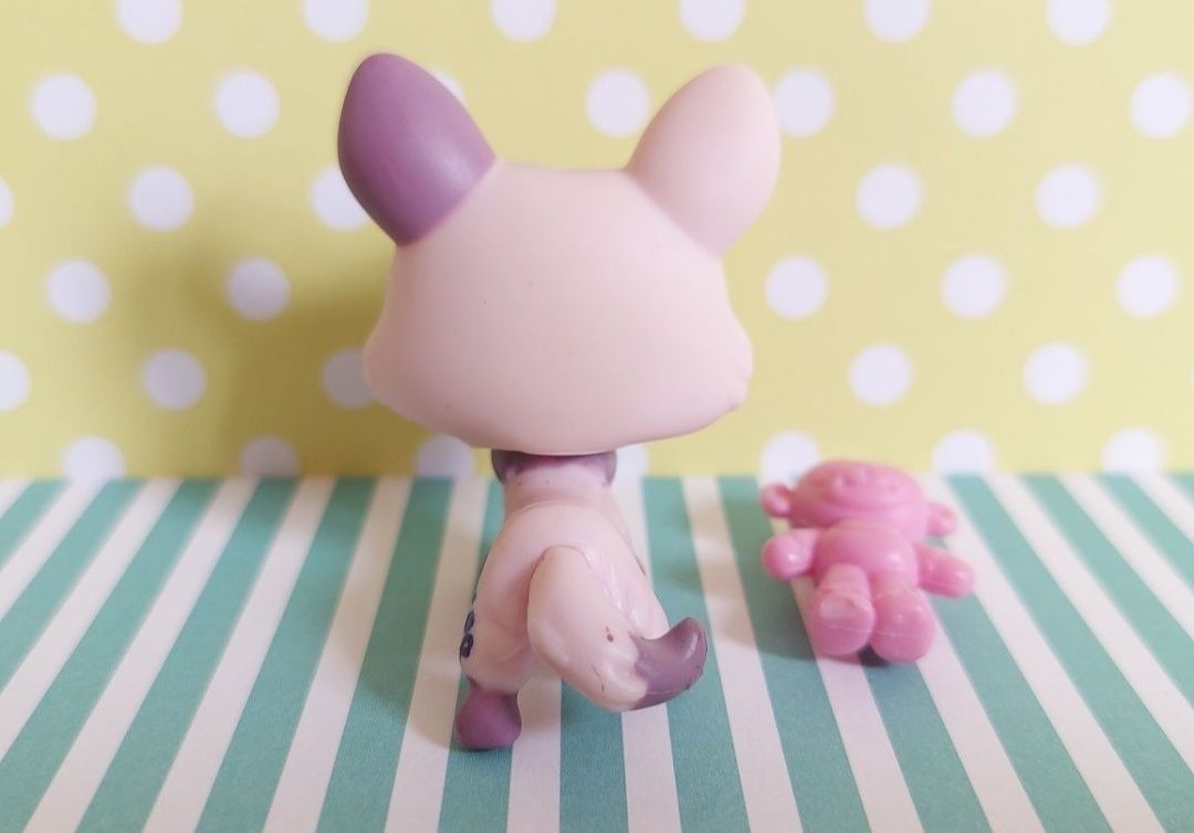 Littlest Pet Shop LPS unikatowy pies Corgi #1645