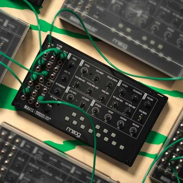 MOOG MAVIS – Syntezator Analogowy do montażu | w24h
