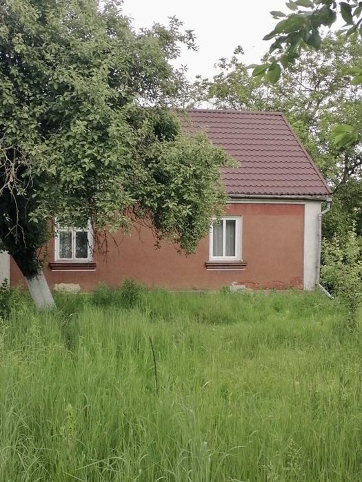 Продається будинок в Білій Криниці