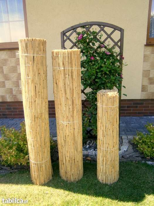mata trzcinowa, maty trzcinowe, trzcina 1,20 6m PRODUCENT bardzo gęste
