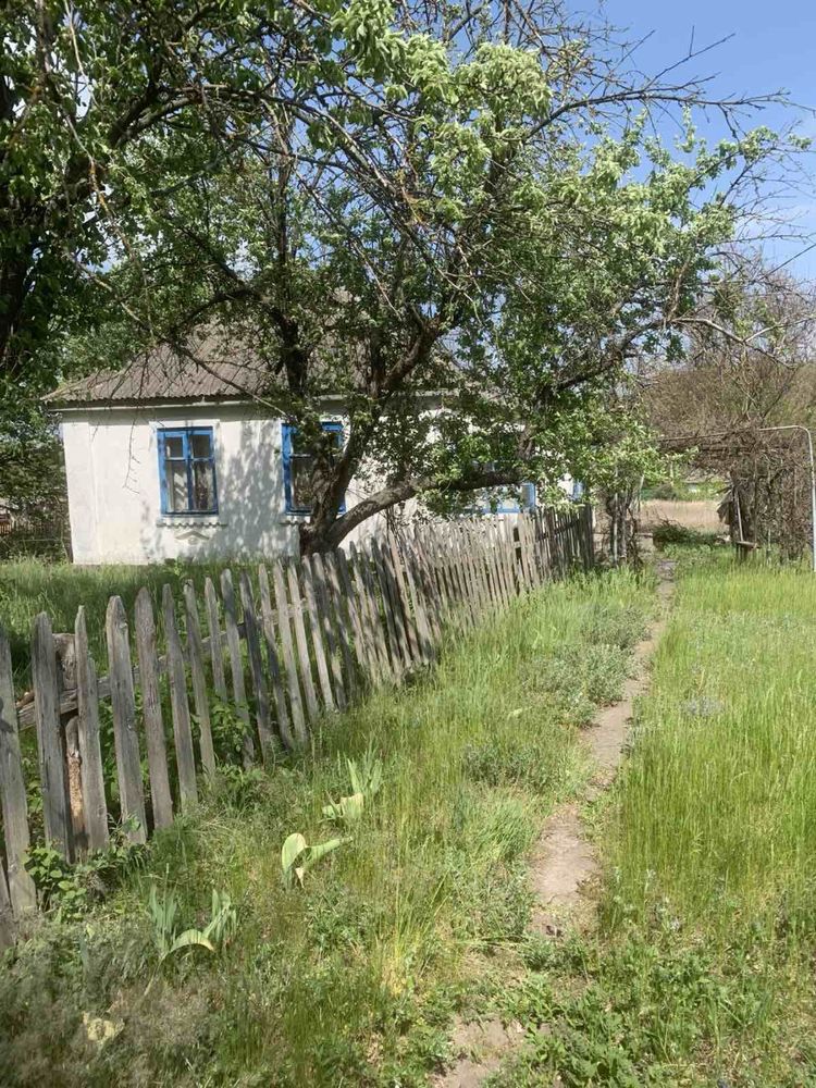 Будинок, Карашина( Корсунь-Шевченківський