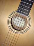 Fender Acoustic ESC-105
