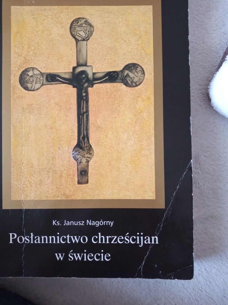 Posłannictwo chrześcijan w świecie. J. Nagórny