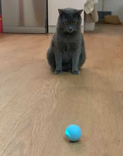 Розумна іграшка кулька м'ячик для кота чи собачки DT475 зі звуком