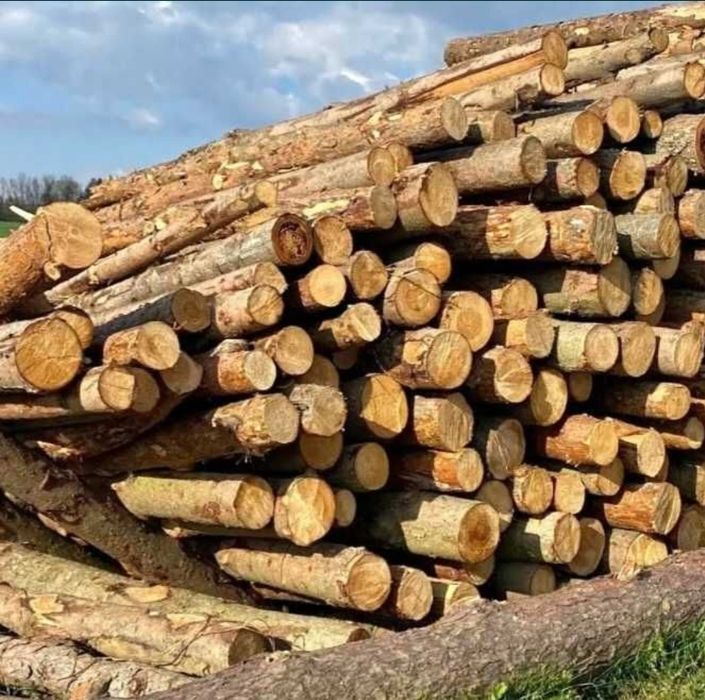 Tanie drewno opałowe kominkowe Sosna buk dąb grab i inne promocja