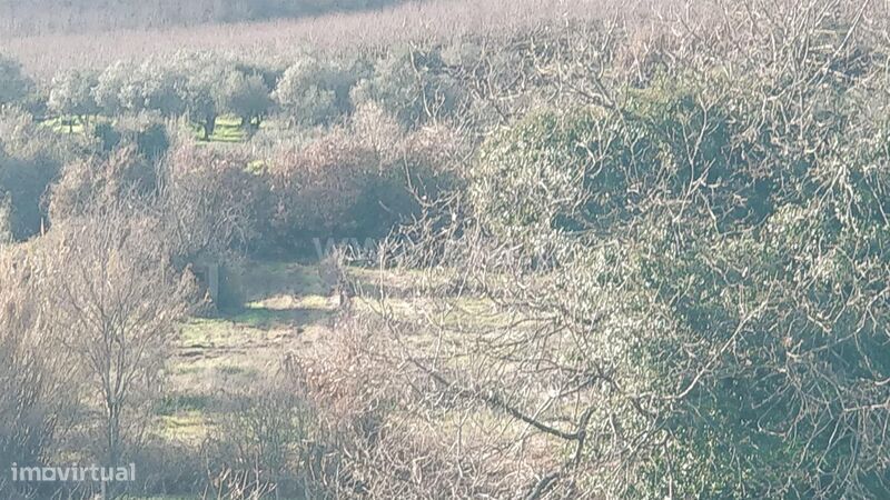 Terreno Rústico / Fundão, Capinha