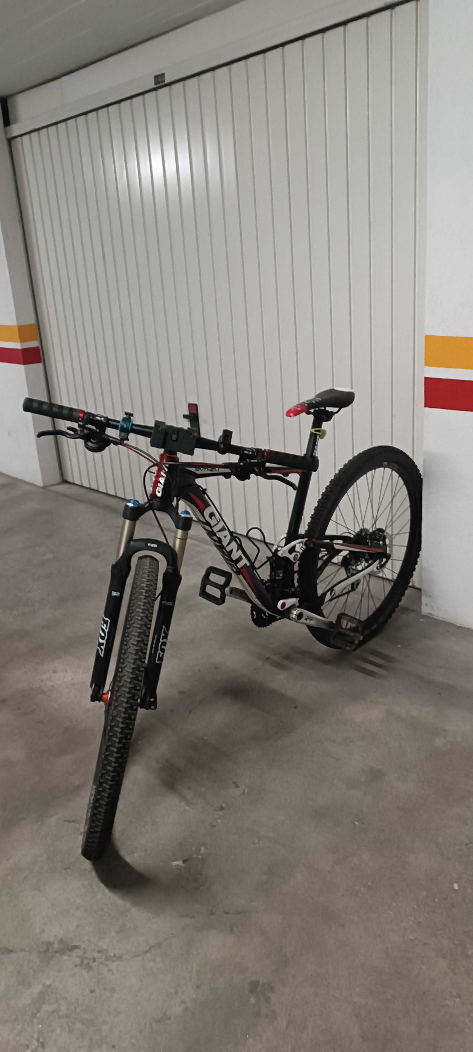 Giant Anthem X29, roda 29
