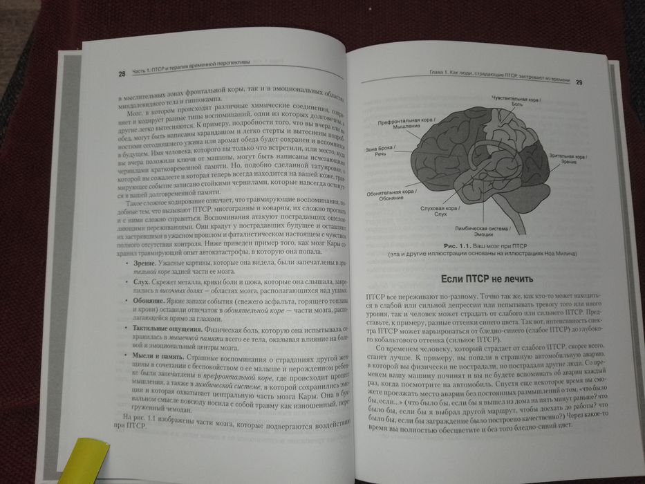 Время как лекарство. Зимбардо. (Про лечение ПТСР)