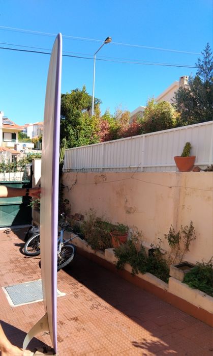 Longboard 9.1 práticamente novo