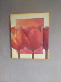 Obraz tulipany czerwone