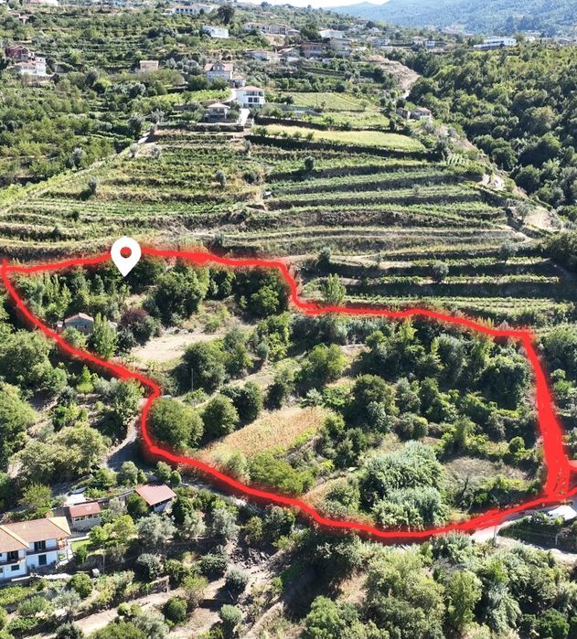 Quinta no douro a beira rio