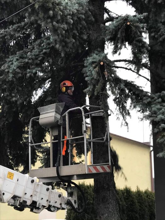 Wycinka drzew,  rębak, cięcie pielęgnacyjne, miejsca trudno dostępne
