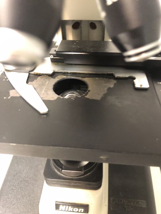 Microscopio binocular Nikon Alphaphot 2 para reparar