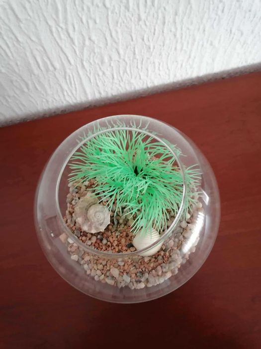 Aquário em vidro redondo