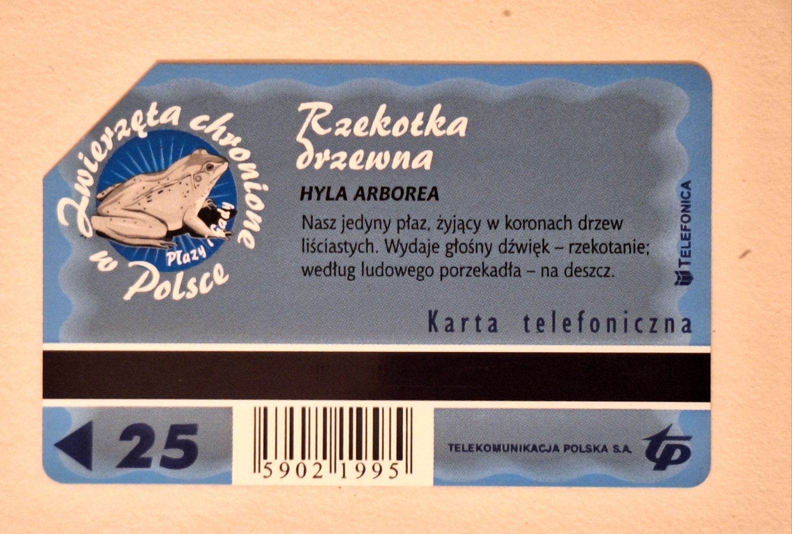Karta telefoniczna TP S.A. rzekotka drzewna