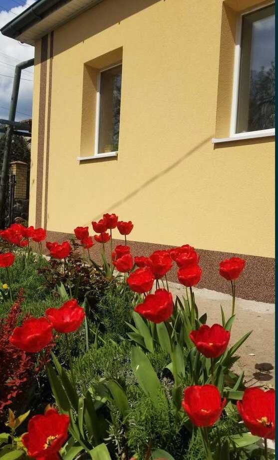 Утеплення квартир та будинків – якісно та надійно!
