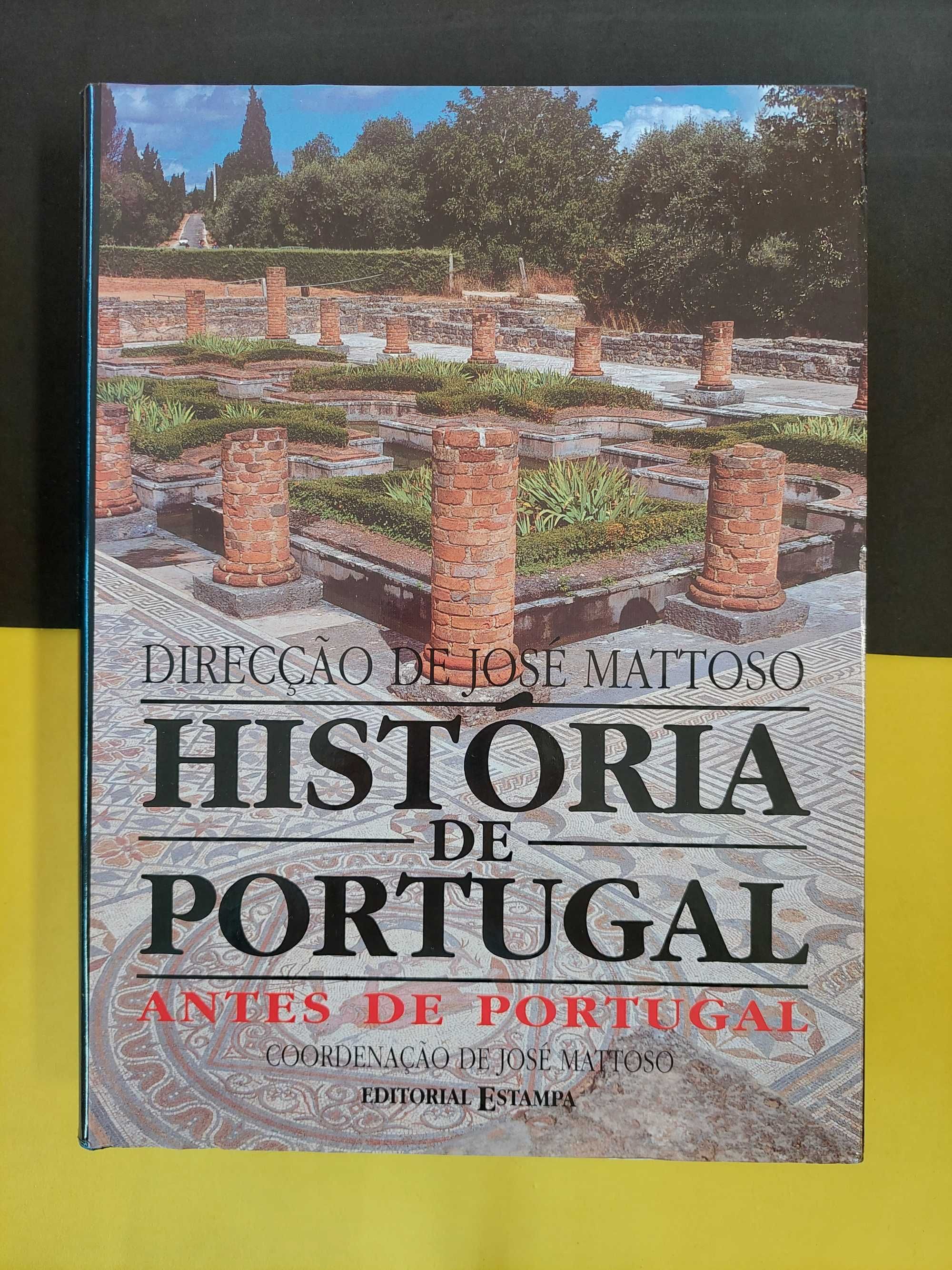 José Mattoso - História de Portugal antes de Portugal, vol 1