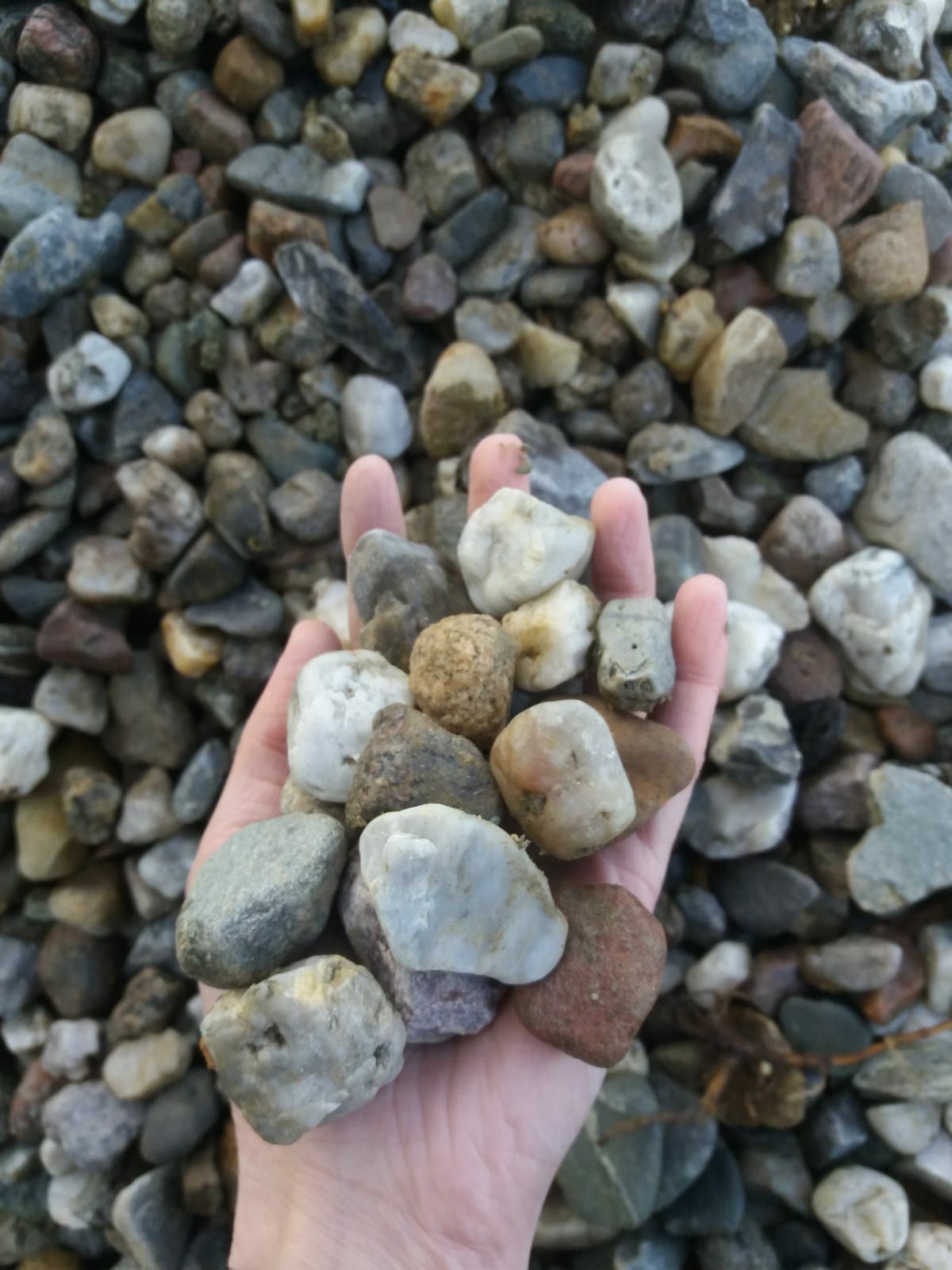 Kamień otoczak 8-16mm, 16-32mm,