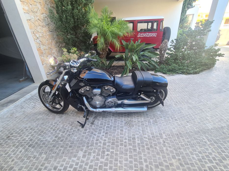 Harley Davidson V Road Muscle
