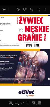 3 bilety Męskie Granie 2024 - Warszawa, piątek 23 sierpnia 2024 r.