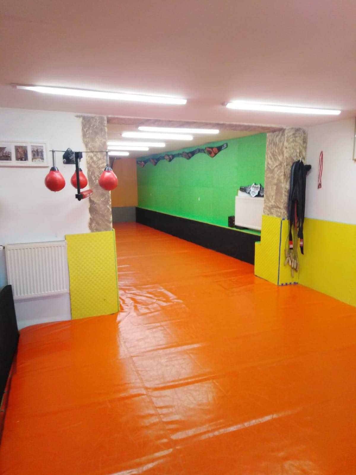 Treningi indywidualne Boks/ Kickboxing/ Bjj/ Samoobrona .