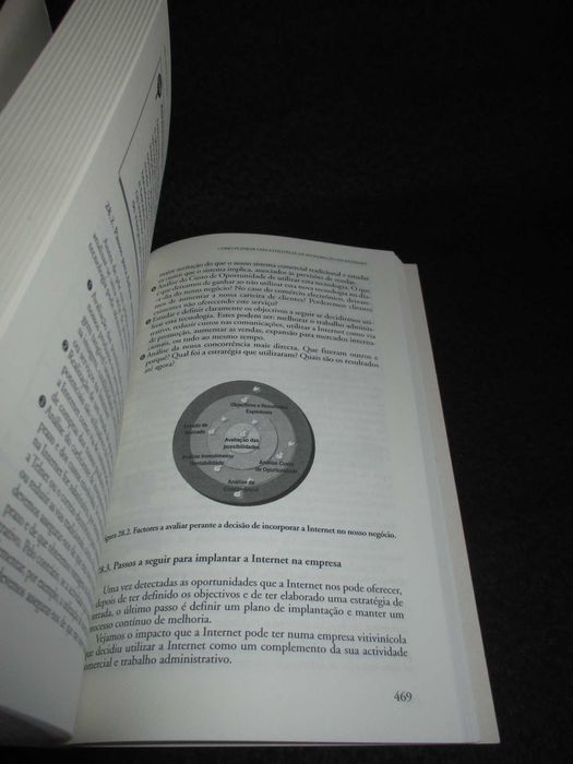 Livro MBA para Todos Finanças Marketing Estratégia Empresas e Internet