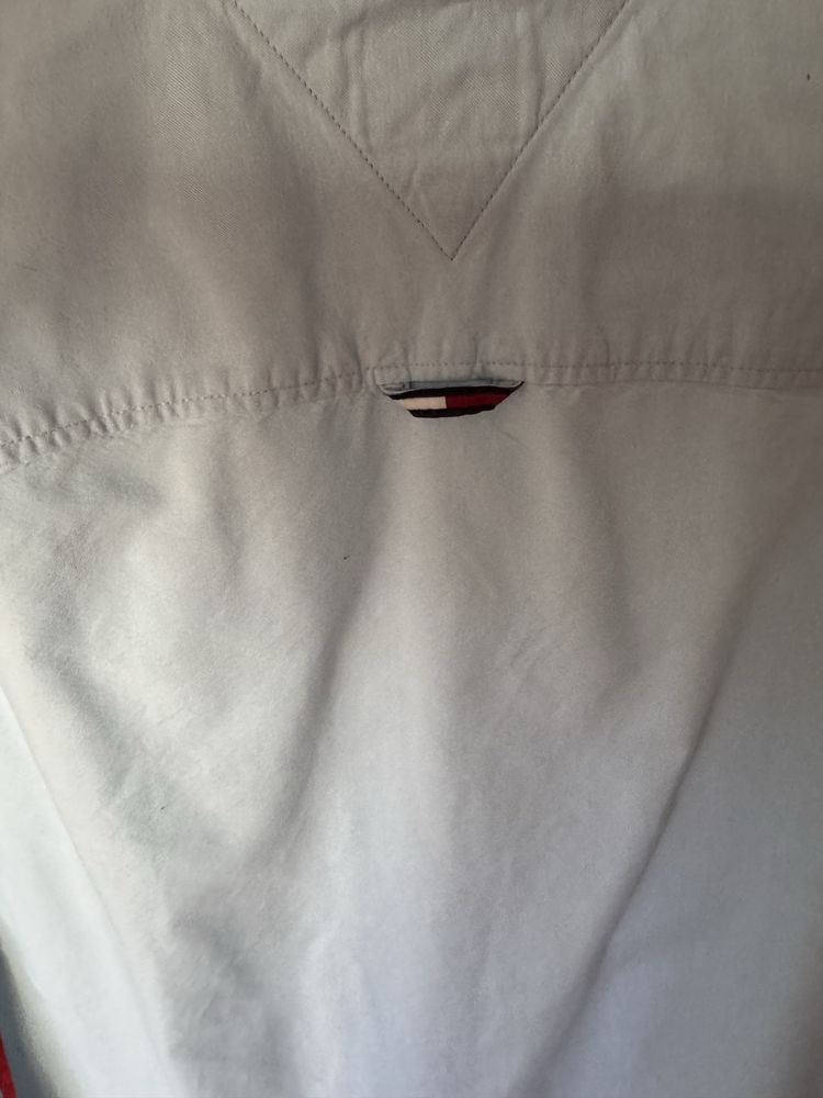 Camisa Tommy L / classic fit