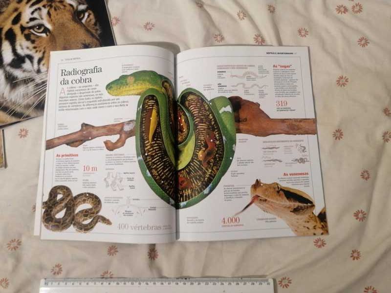 Enciclopédias de animais