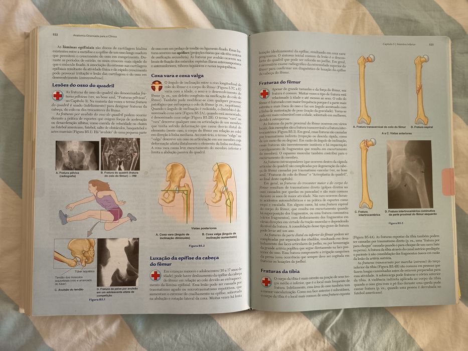 Anatomia orientada para a clínica - Moore - 7ª Ed - Português