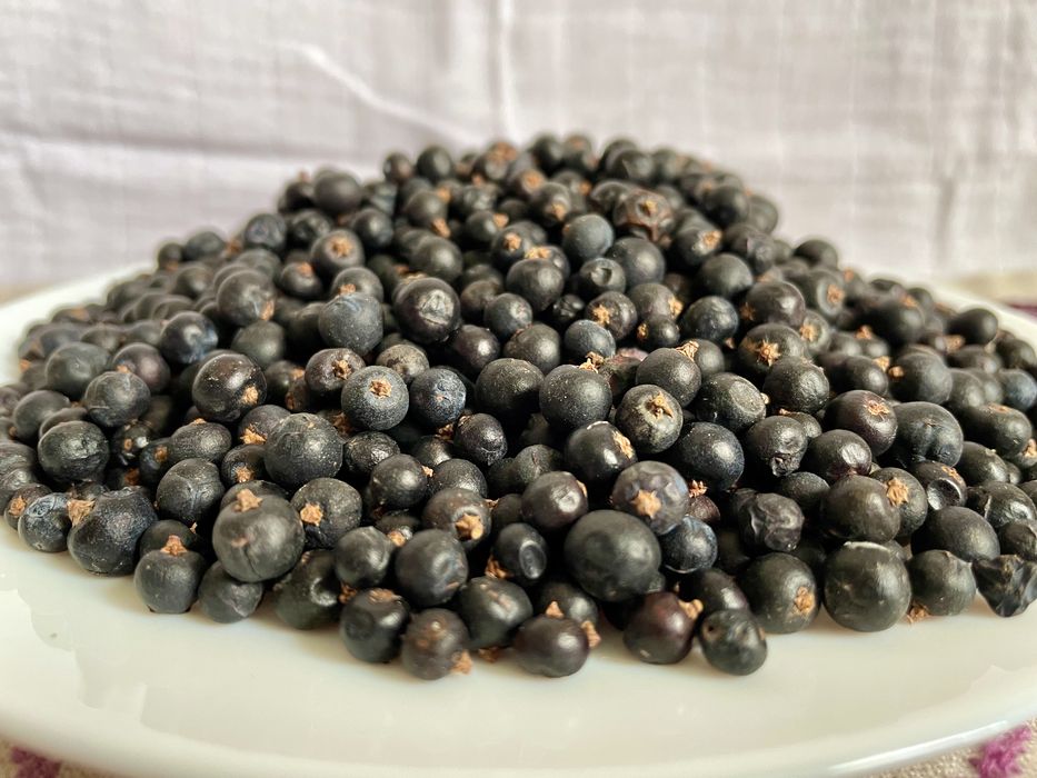 Ялівець ягоди (можжевельник)