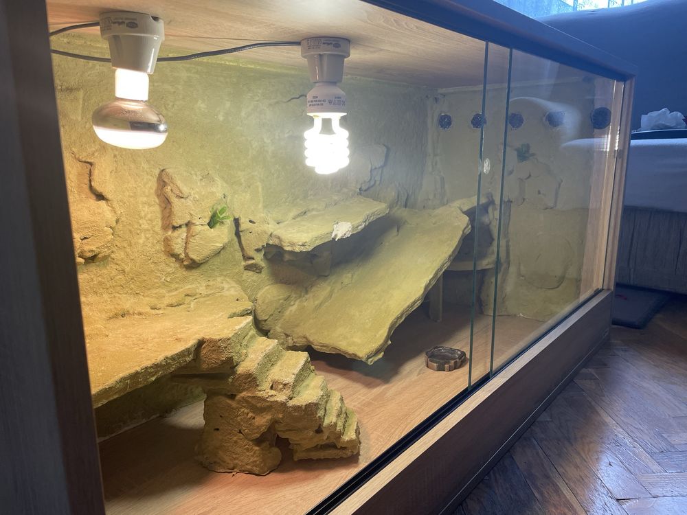 Terrarium 120x50x60