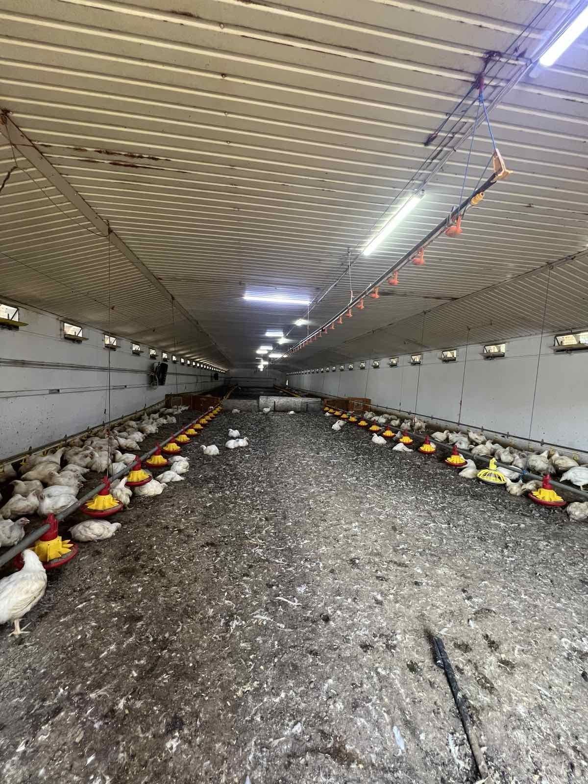 Продам коммерческую недвижимость