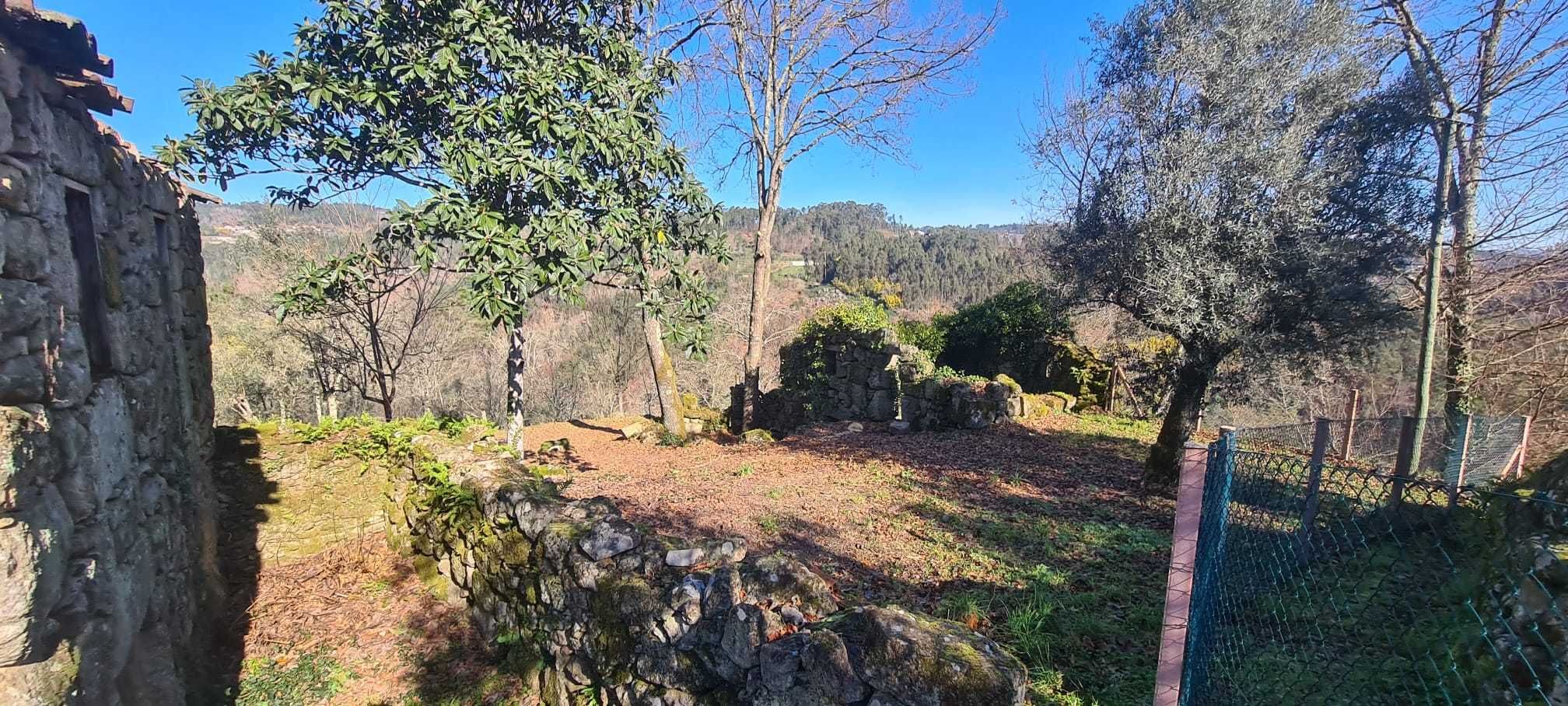 Quinta com 3.000 m2, com Ruínas em Pedra para Restaurar e Pomar