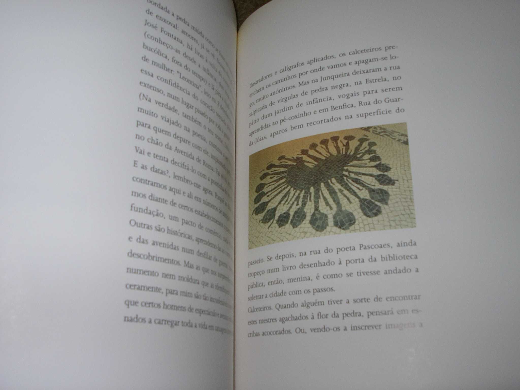 Lisboa, Livro de Bordo, José Cardoso Pires