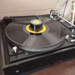 Gramofon dual 521 pełen automat