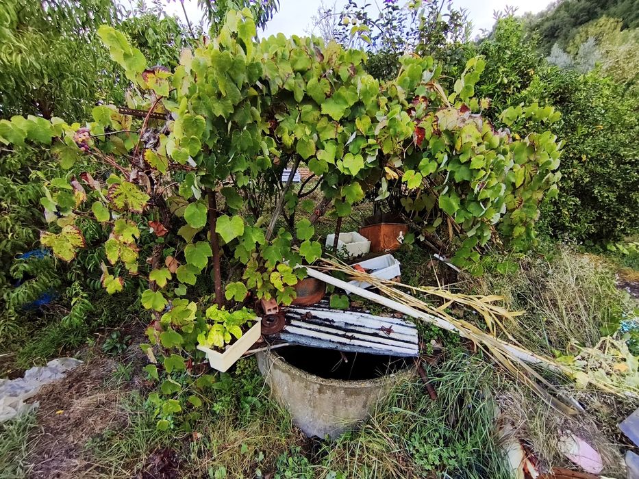 Quintinha às portas de Lisboa