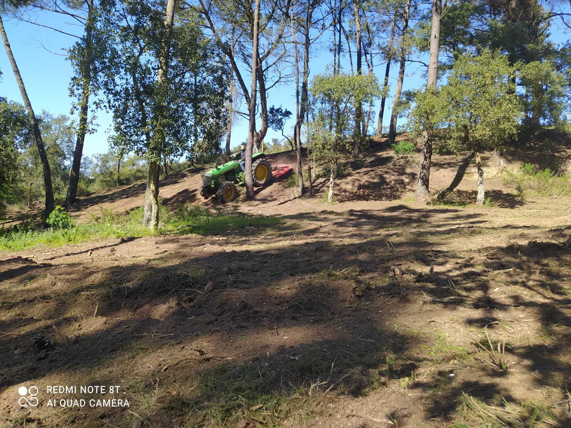 Limpeza de terrenos e matas florestais e agrícolas e poda de árvores