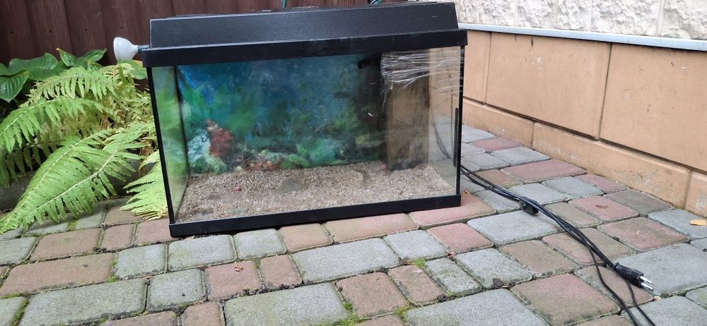 Акваріум від juwel 60 на 35 см