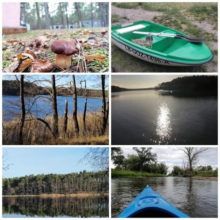 Domki letniskowe nad jeziorem Borek