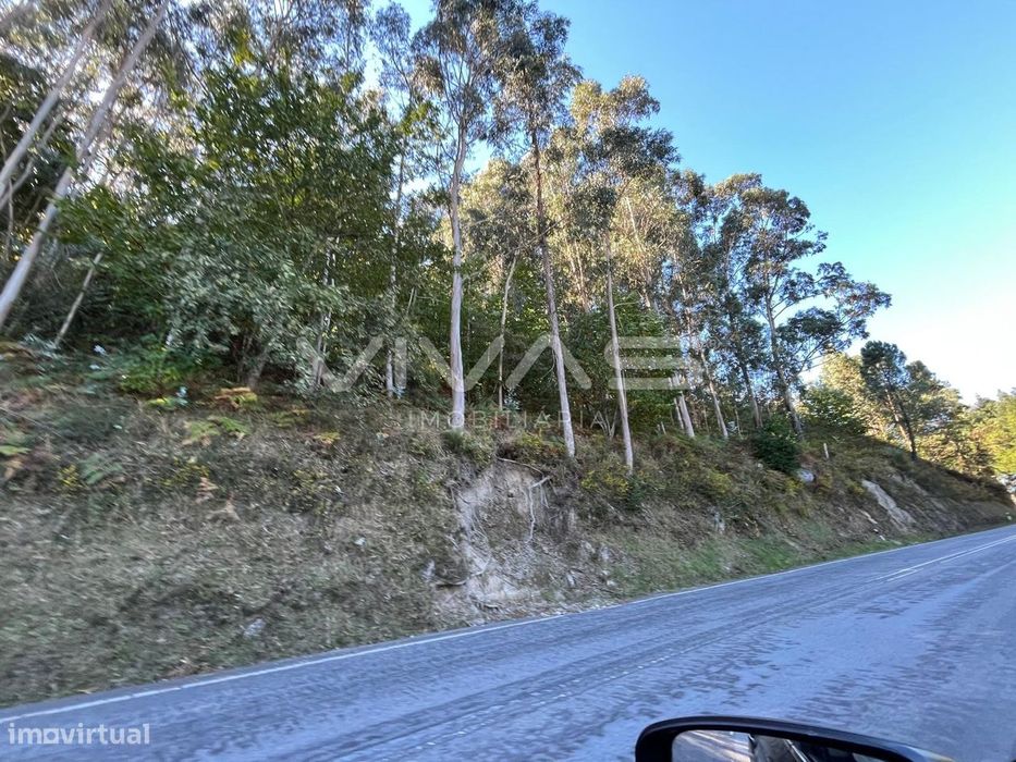 Terreno Rústico  Venda em Louredo,Vieira do Minho